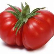 Beefsteak Tomato